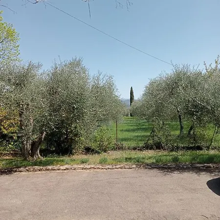Apartment Al Canaiolo